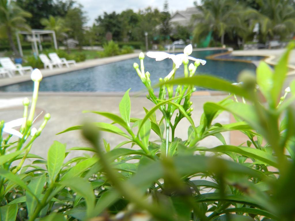 Pai Iyara Resort Экстерьер фото